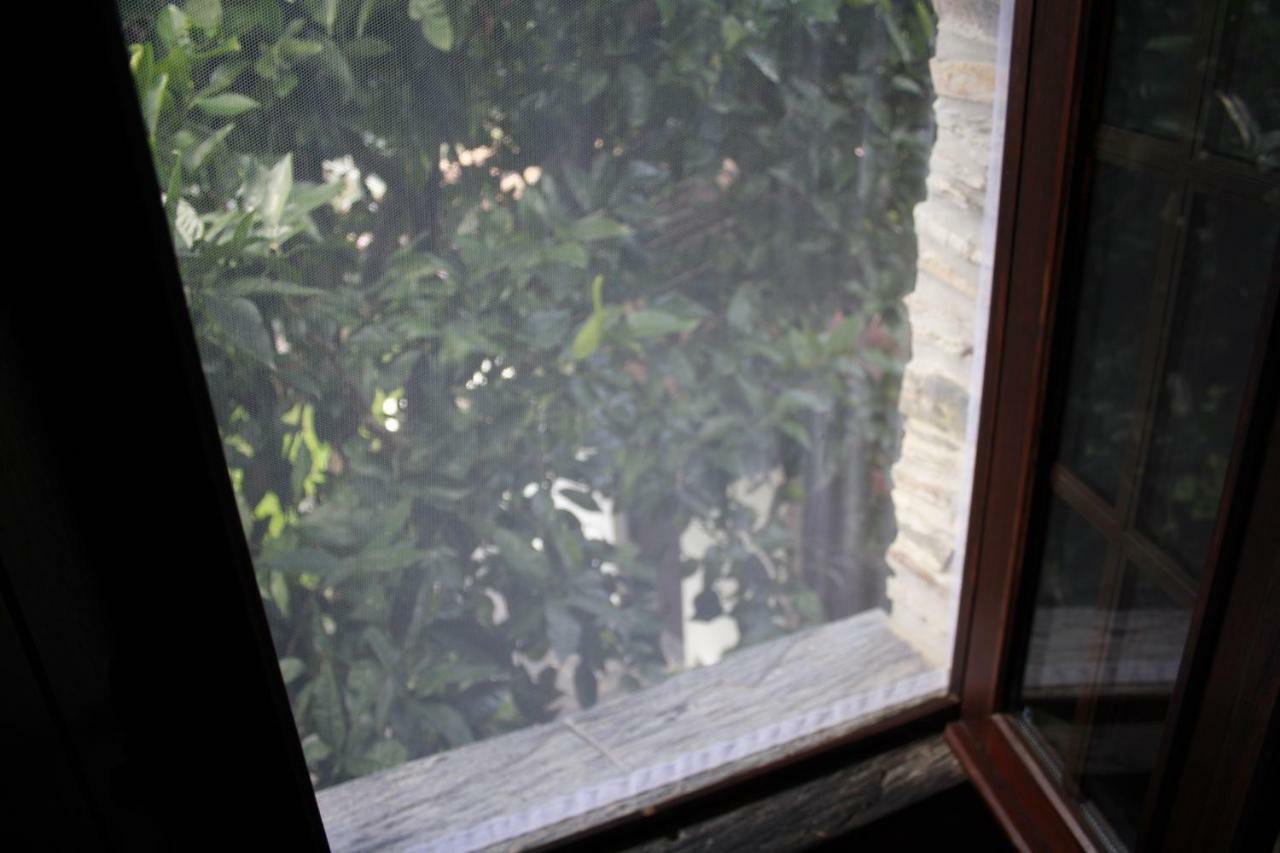 Casas De Pedra Ξενοδοχείο Proença-a-Nova Εξωτερικό φωτογραφία